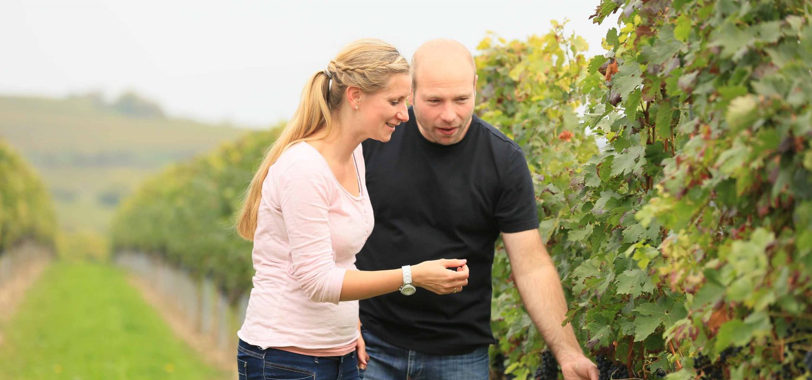 klieber2, © Weingut Klieber klieber2, © Weingut Klieber
