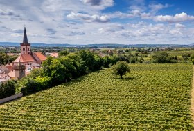 Pfeddersheimer Sankt Georgenberg Pfeddersheimer Sankt Georgenberg