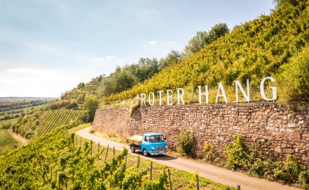 RPT-Stein auf Stein-Rheinhessen-2021-035-Roter Hang Nierstein_ RPT-Stein auf Stein-Rheinhessen-2021-035-Roter Hang Nierstein_