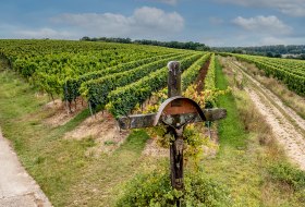 Hackenheimer Kirchberg Hackenheimer Kirchberg