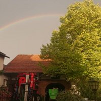 Weingut Kost Hof Weingut Kost Hof