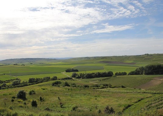 Quellgebiet Michelstal © Angelika Friedrich Quellgebiet Michelstal © Angelika Friedrich