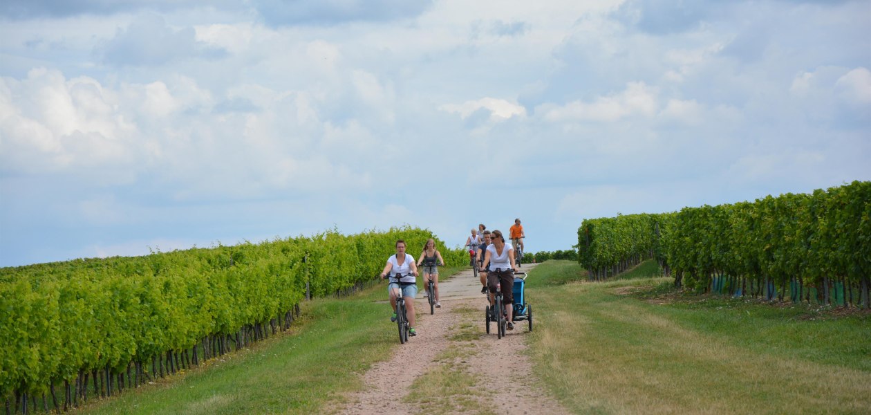 Elsemer-Tour1, © Angelika Friedrich Elsemer-Tour1, © Angelika Friedrich