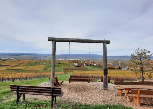 Wingertsschaukel Rheinhessenblick © Tourist Info Sprendlingen-Gensingen Wingertsschaukel Rheinhessenblick © Tourist Info Sprendlingen-Gensingen