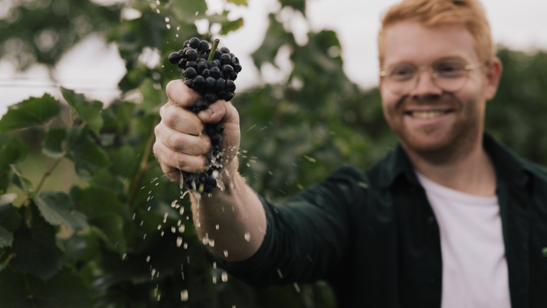 Peter - Pinot - Weingut Dr. Hinkel, © Sven Hasselbach Peter - Pinot - Weingut Dr. Hinkel, © Sven Hasselbach
