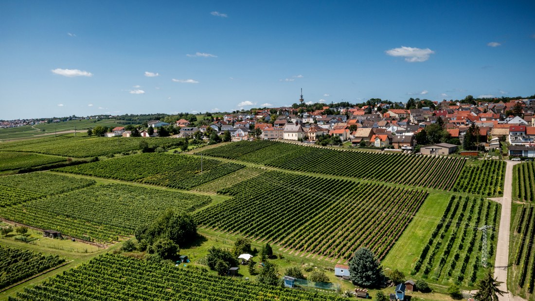 Ober-Olmer Kapellenberg Ober-Olmer Kapellenberg