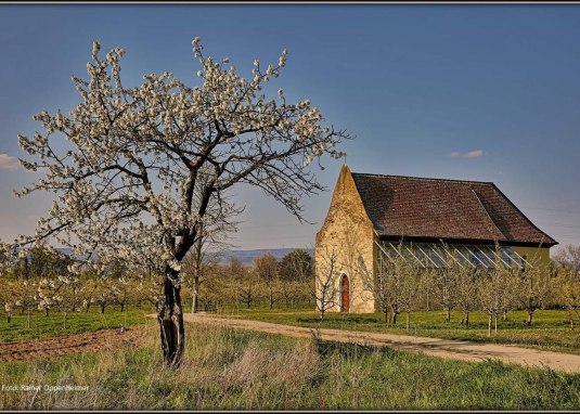 St. Georgskapelle © Rainer Oppenheimer/Stadt Ingelheim St. Georgskapelle © Rainer Oppenheimer/Stadt Ingelheim