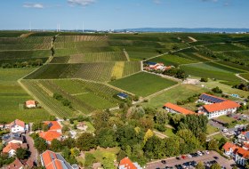 Bodenheimer Burgweg Bodenheimer Burgweg