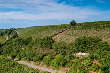 Niersteiner Ölberg Niersteiner Ölberg