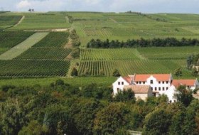 KaiserbadMühle im Weinberg © © Dr. Udo Schier, Westhofen KaiserbadMühle im Weinberg © © Dr. Udo Schier, Westhofen