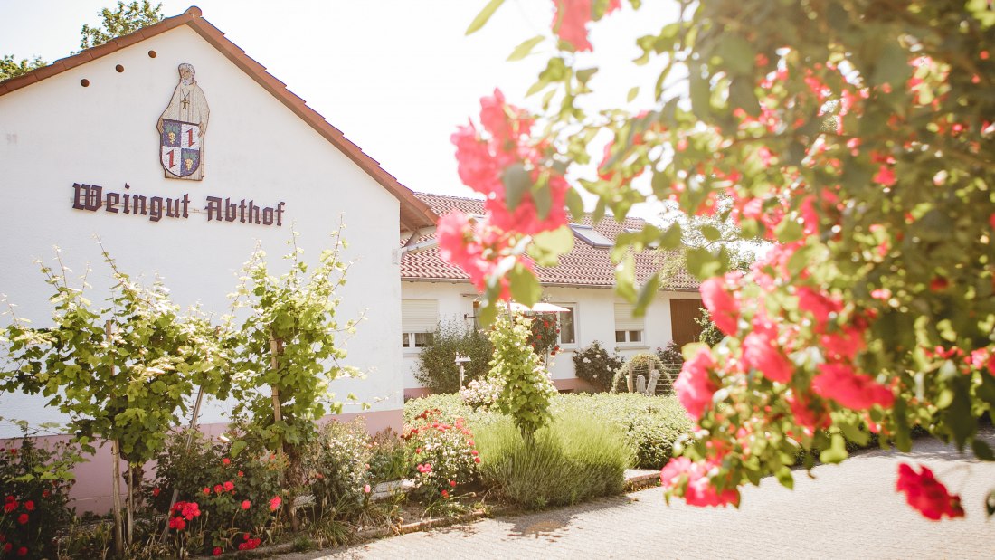 Weingut-Abthof-Juni-2021-DRUCK-203 Weingut-Abthof-Juni-2021-DRUCK-203