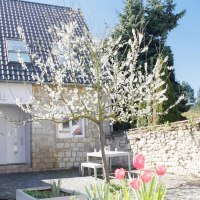 Hof_Reneklodenbluete Hof_Reneklodenbluete