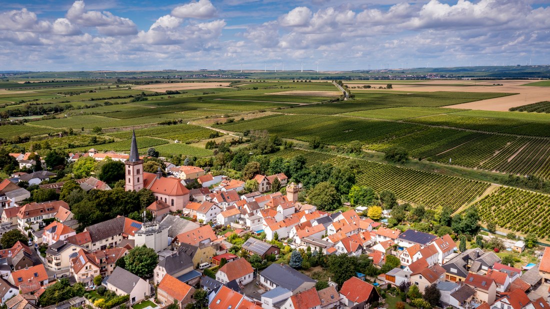 Pfeddersheimer Sankt Georgenberg Pfeddersheimer Sankt Georgenberg