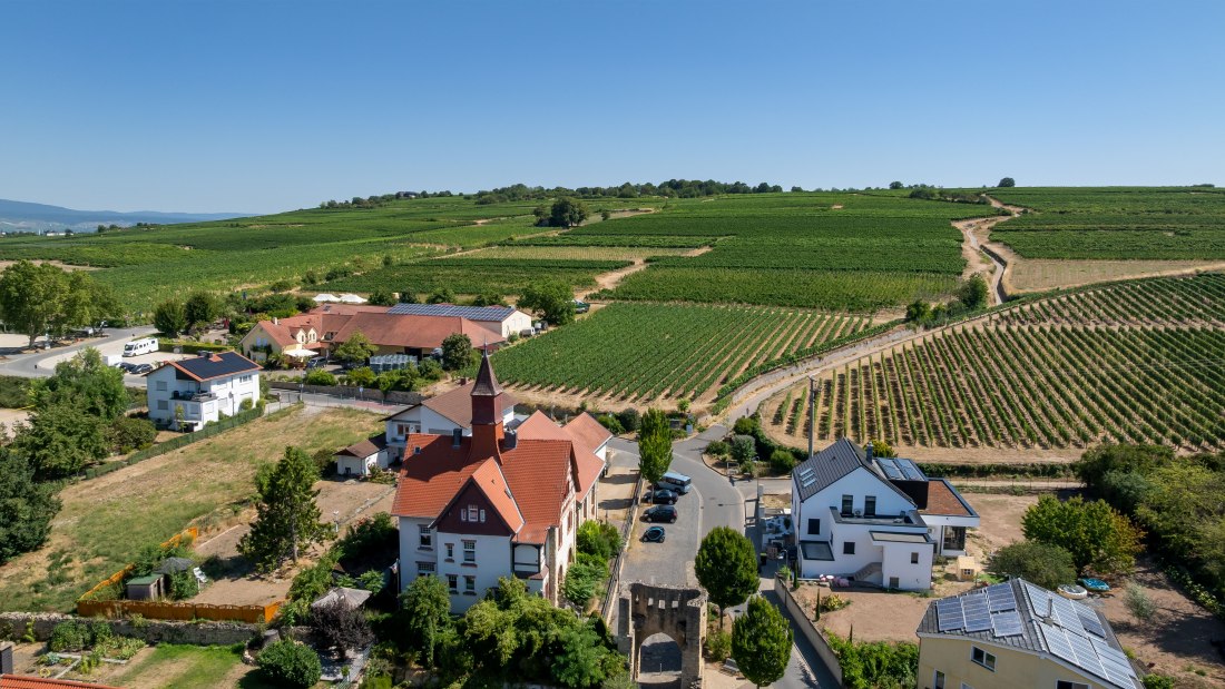 Ingelheimer Burgberg-064 Kopie, © Torsten Silz Ingelheimer Burgberg-064 Kopie, © Torsten Silz