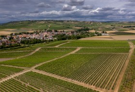 Gau-Weinheimer Geyersberg Gau-Weinheimer Geyersberg