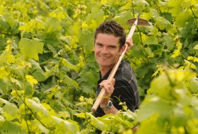 Weingut Norbert Michel_Winzer © Weingut Norbert Michel Weingut Norbert Michel_Winzer © Weingut Norbert Michel