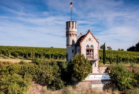 Osthofener Leckzapfen Osthofener Leckzapfen