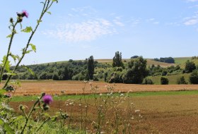 Weite Blicke ins Appelbachtal Weite Blicke ins Appelbachtal