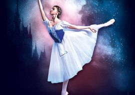 260430_king_cinderella-600x600-1-500x500-1 260430_king_cinderella-600x600-1-500x500-1