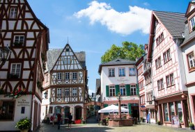 Kirschgarten in der Altstadt Kirschgarten in der Altstadt