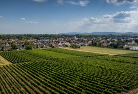 Heppenheimer Schneckenberg © Torsten Silz Heppenheimer Schneckenberg © Torsten Silz