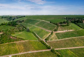 Niersteiner Brudersberg Niersteiner Brudersberg