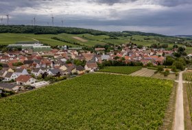 Lonsheimer Mandelberg Lonsheimer Mandelberg