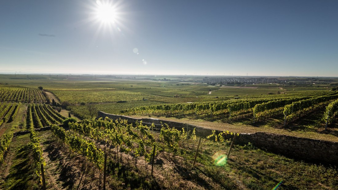 Weingut Helmut Geil_Monzernheim, © Weingut Helmut Geil Weingut Helmut Geil_Monzernheim, © Weingut Helmut Geil