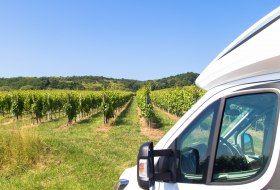 Reisemobil im Weinberg © AdobeStock_161278329 Wohnmobil (c) familie-eisenlohr.de Reisemobil im Weinberg © AdobeStock_161278329 Wohnmobil (c) familie-eisenlohr.de