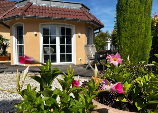 A1 Profilfoto A1 Profilfoto