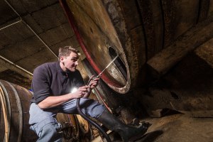 Weingut Boxheimerhof_Winzer, © Weingut Boxheimerhof Weingut Boxheimerhof_Winzer, © Weingut Boxheimerhof