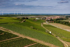 Uffhofener La Roche Uffhofener La Roche