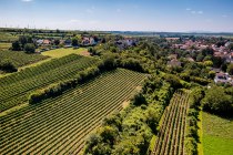 Dexheimer Doktor Dexheimer Doktor