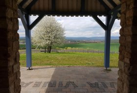 Schutzhütte via vinea Ausblick © Tourist Info Sprendlingen-Gensingen Schutzhütte via vinea Ausblick © Tourist Info Sprendlingen-Gensingen