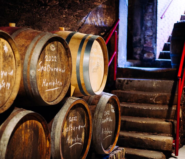 20230905_Weingut_Fischborn_Schenk_Web-41 20230905_Weingut_Fischborn_Schenk_Web-41