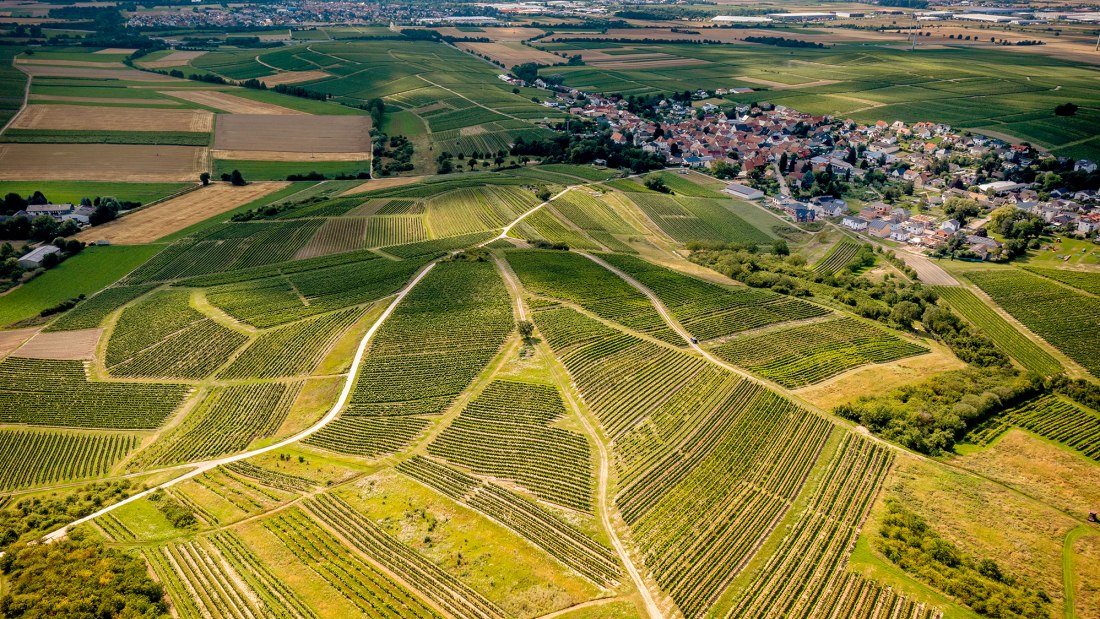Horrweiler Gewürzgärtchen Horrweiler Gewürzgärtchen