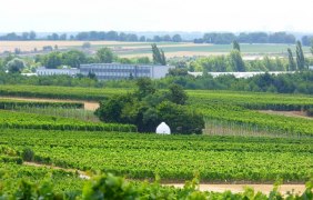 Landwehr © Michael Röhrenbeck Landwehr © Michael Röhrenbeck