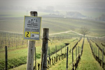 © Weingut Wagner © Weingut Wagner