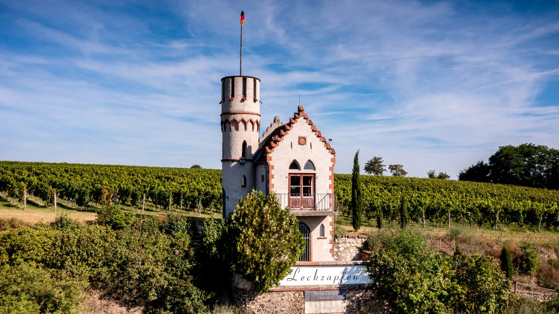 Osthofener Leckzapfen Osthofener Leckzapfen