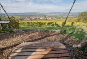 Wingertsschaukell Ockenheim © Verbandsgemeinde Gau-Algesheim Wingertsschaukell Ockenheim © Verbandsgemeinde Gau-Algesheim