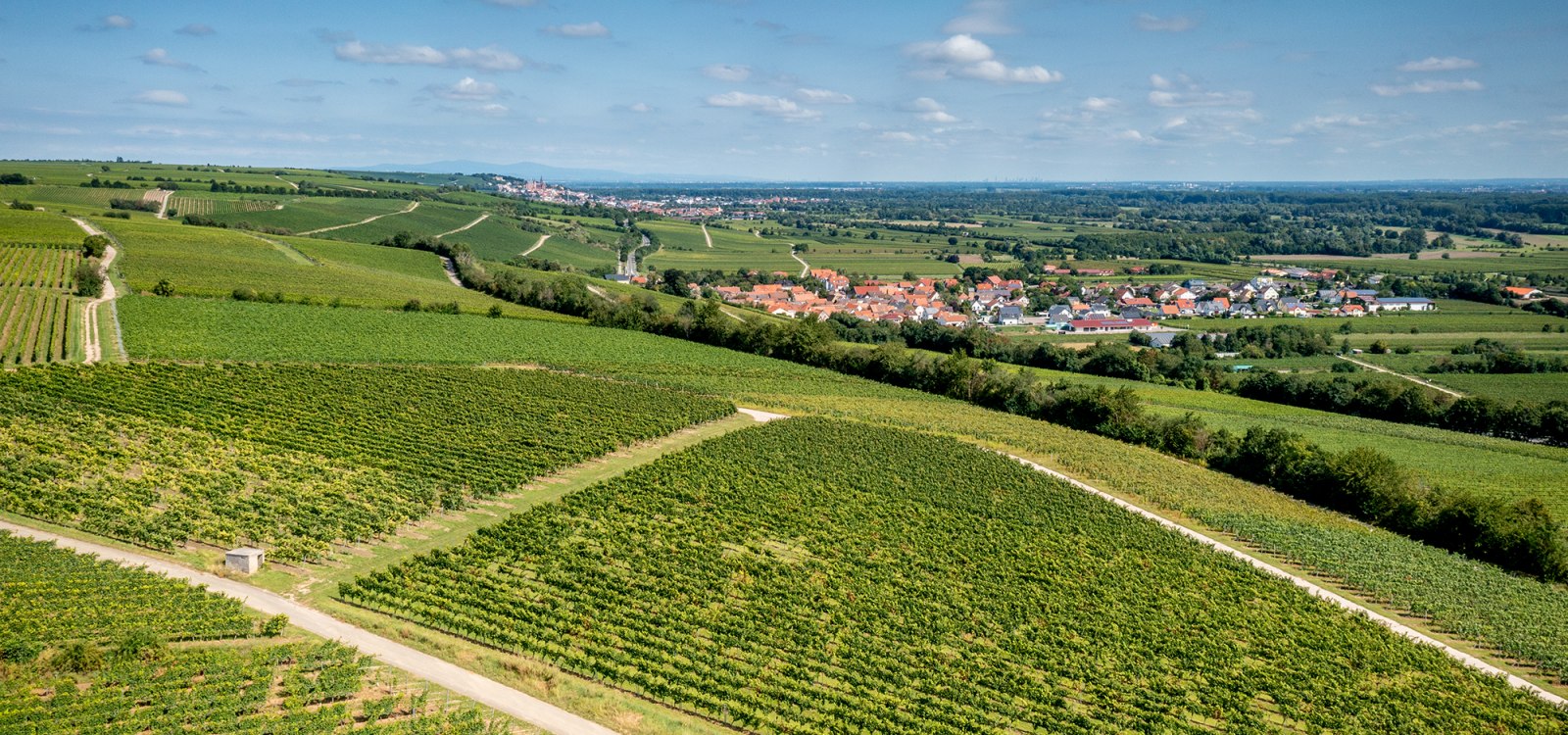 Ludwigshöher Teufelskopf Ludwigshöher Teufelskopf