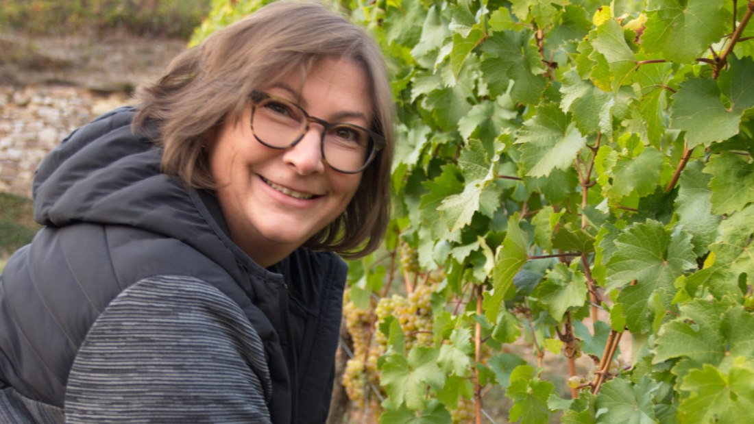 © Weingut Riffel © Weingut Riffel
