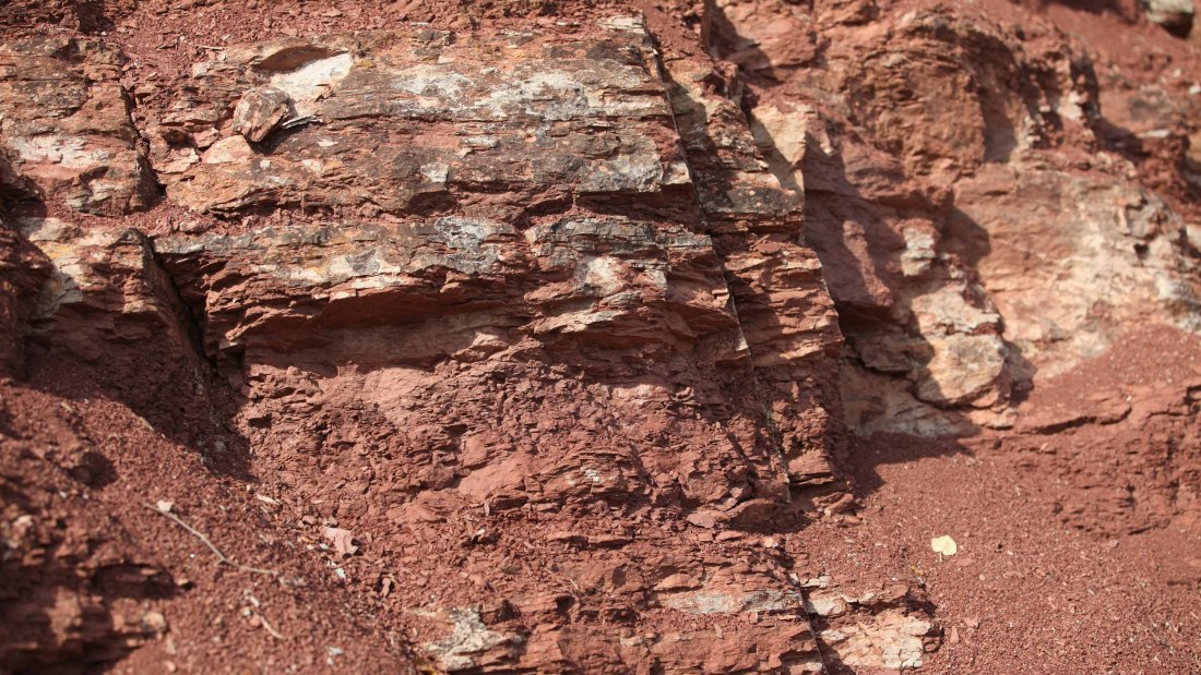 Roter Hang Strub Nierstein1, © Michael von Haugwitz Roter Hang Strub Nierstein1, © Michael von Haugwitz