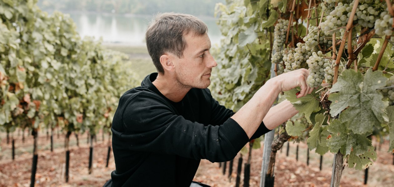 InesBarwig_WeingutEimermann-761 InesBarwig_WeingutEimermann-761