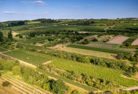 Ingelheimer Rotes Kreuz Ingelheimer Rotes Kreuz