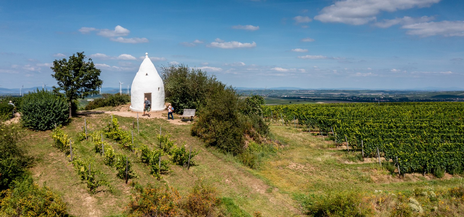 Flonheimer Rotenpfad, © Rheinhessenwein e.V./Torsten Silz Flonheimer Rotenpfad, © Rheinhessenwein e.V./Torsten Silz