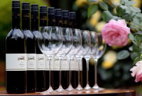 beak © Weingut Schnabel beak © Weingut Schnabel