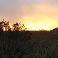 Auszeit! Weinberge direkt hinter dem Haus... Auszeit! Weinberge direkt hinter dem Haus...