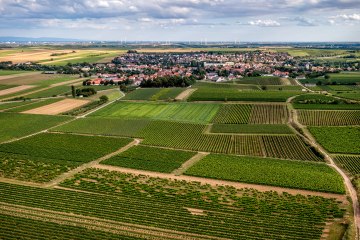 Westhofener Steingrube Westhofener Steingrube