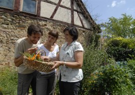 Herb Garden Erb-Frey-Hof, © Uwe Feuerbach / Rheinhessen-Touristik Herb Garden Erb-Frey-Hof, © Uwe Feuerbach / Rheinhessen-Touristik